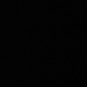 Meet your Posher, Warren